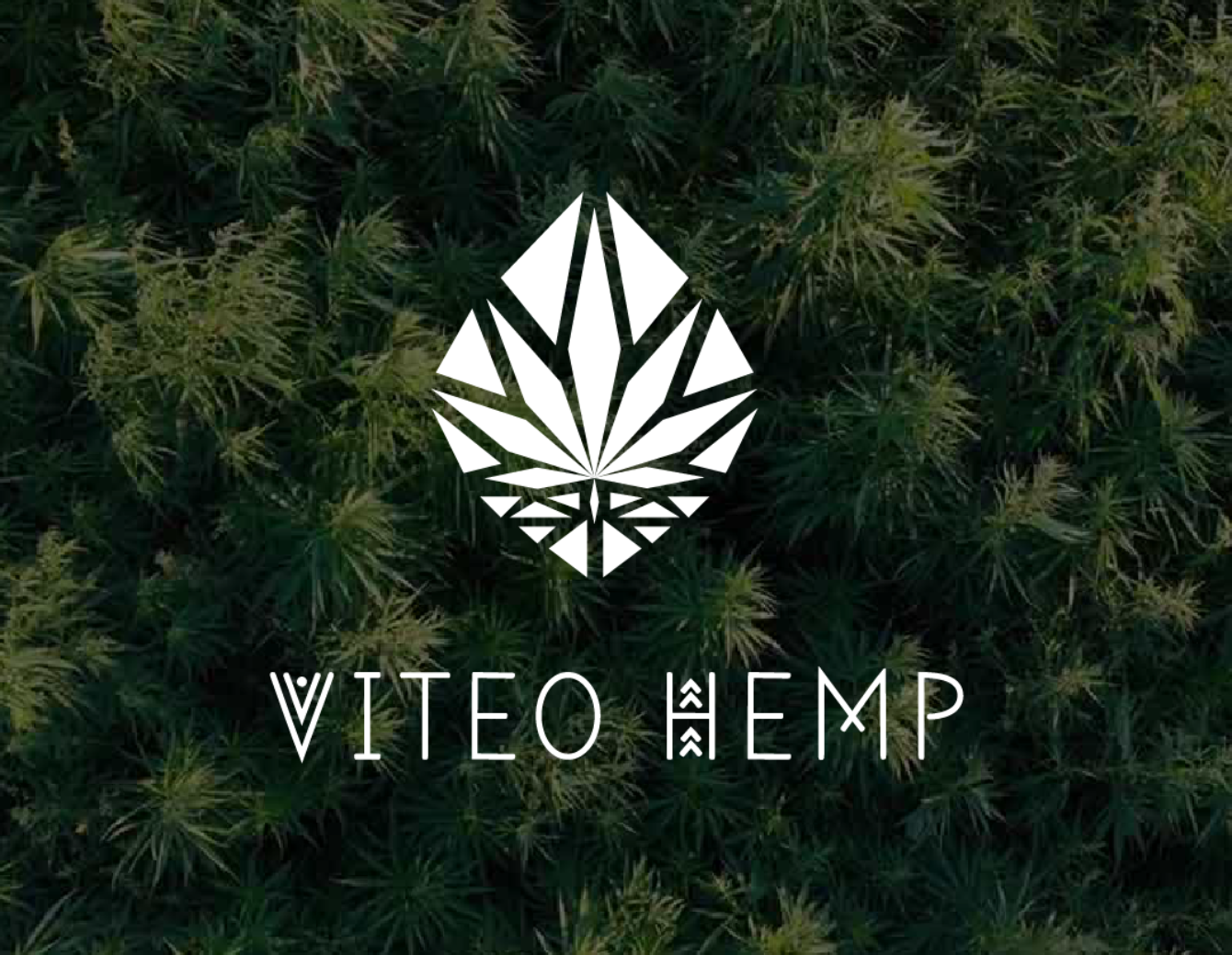 Агрокомпанія VITEO Hemp